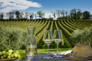 Wine Tours Lugana Lake Garda